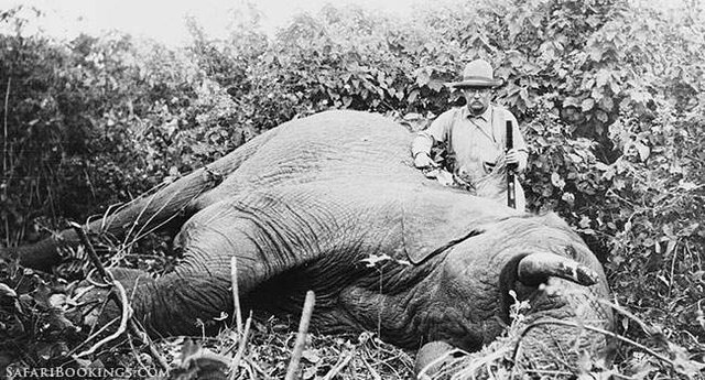 Roosevelt Leaves for Africa