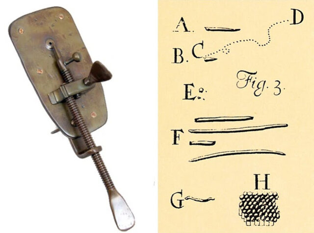 🔬Microscopi de 200 augments i observació de les primeres cèl·lules vives🦠