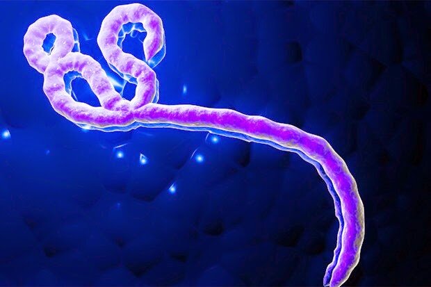 Casos d'Ebola a Espanya