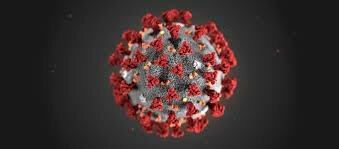 Pandemia de Covid-19