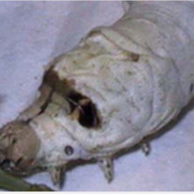 Timeline: Avengers tecnológico en ciencia  y la medicina