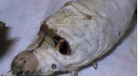 Timeline: Avengers tecnológico en ciencia  y la medicina