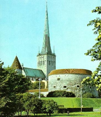 Толстая Маргарита