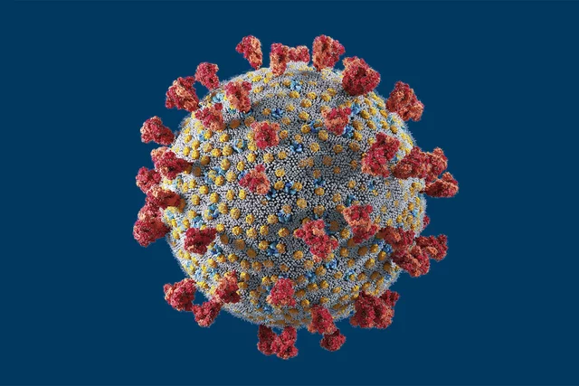 Pandemia de Covid-19