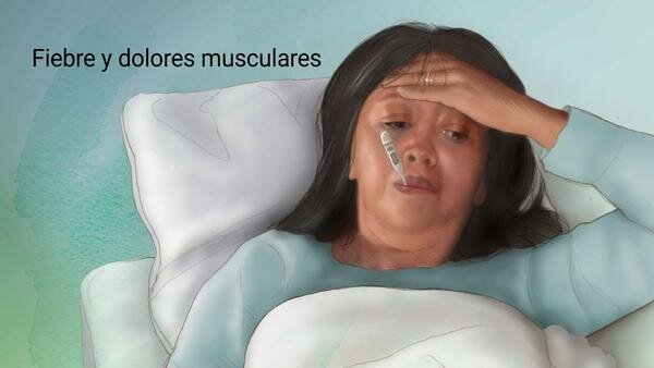 Primera vacuna para la influenza.