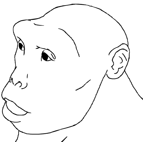 Pre-Australopithecus