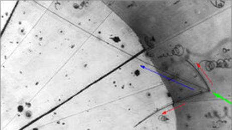 Descobriment del neutrí