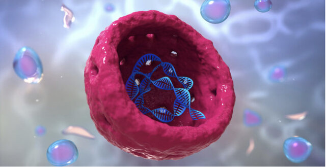 Aparición de la célula eucariota