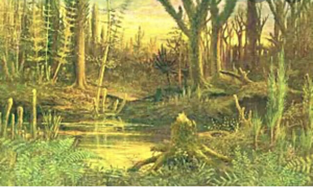 Aparición de las plantas terrestres