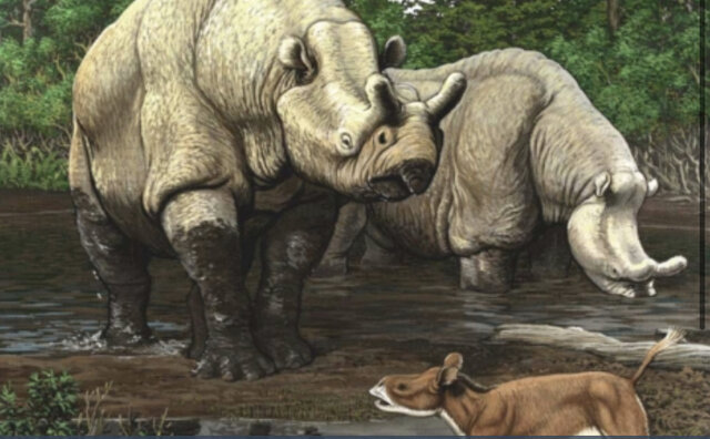 Aparición de los mamíferos