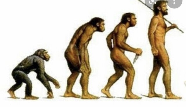 Aparición de los primeros homínidos y homosapiens