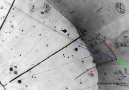 Descobriment del neutrí