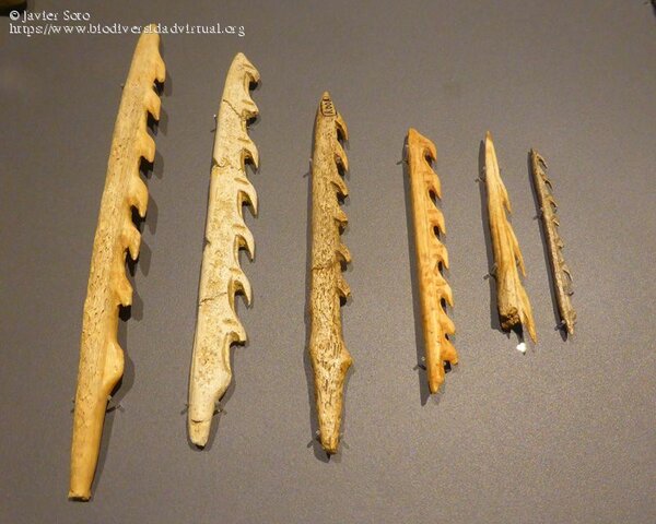 Arcos, flechas y arpones