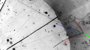 Descobriment del neutrí