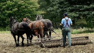 Manufacturing Innovations