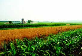Farm Organizations to Improve Agriculture