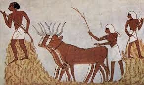 Comienza la agricultura y la ganadería