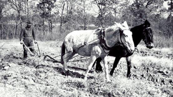 Colonial Farming Technologies