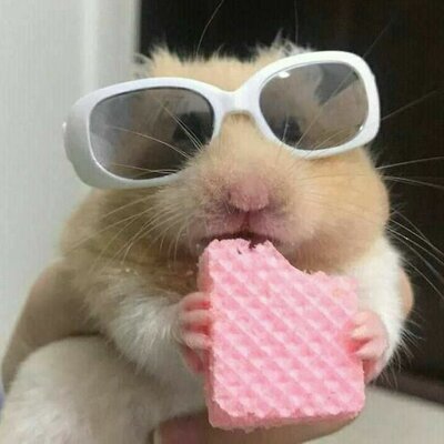 Timeline: Computers History