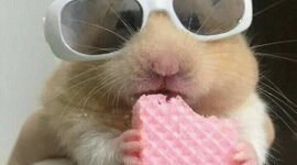 Timeline: Computers History