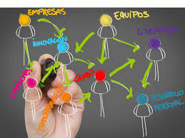 Desarrollo Organizacional