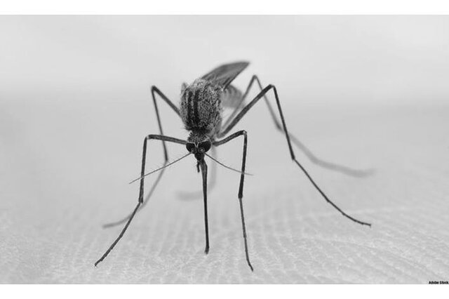 ZIKA