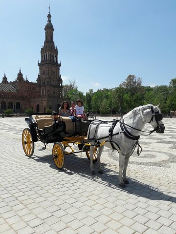 Sortida a Sevilla