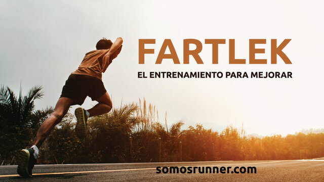 Metodos de entrenamiento