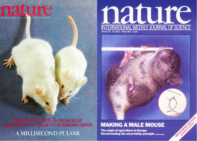 Secuenciación y análisis del genoma del ratón