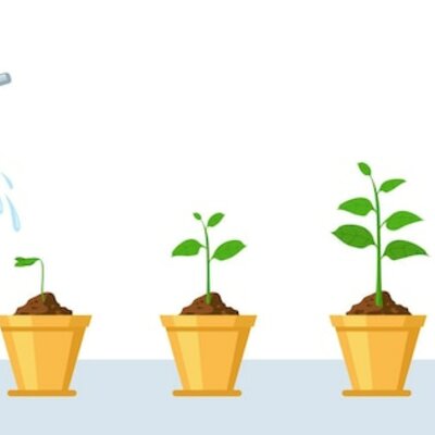 Timeline: COMO CRECEN LAS PLANTAS