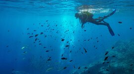 Timeline: LÍNEA DE TIEMPO DE LA OCEANOGRAFÍA COMO CIENCIA