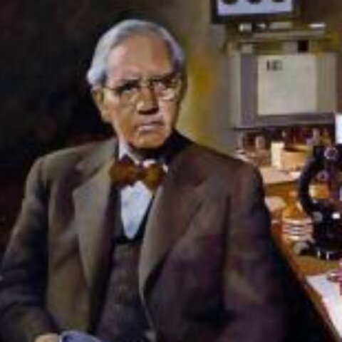 Descubrimiento de la penicilina