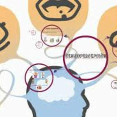 Timeline: Recorrido en el estudio de los procesos sensoperceptivos