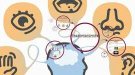 Timeline: Recorrido en el estudio de los procesos sensoperceptivos