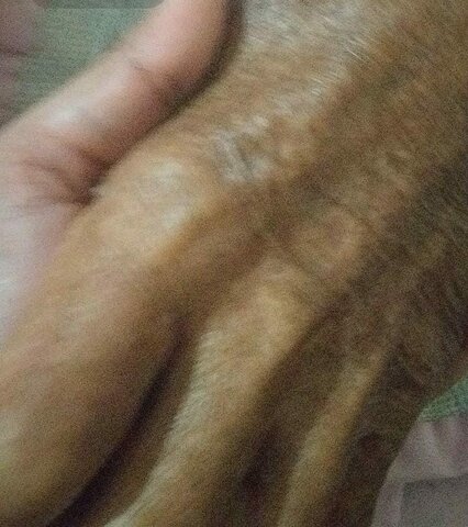 Pérdida de un ser querido