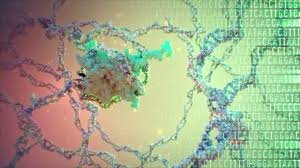 Primera Edición del Genoma CRISPR e Iniciación de Ensayos Clínicos