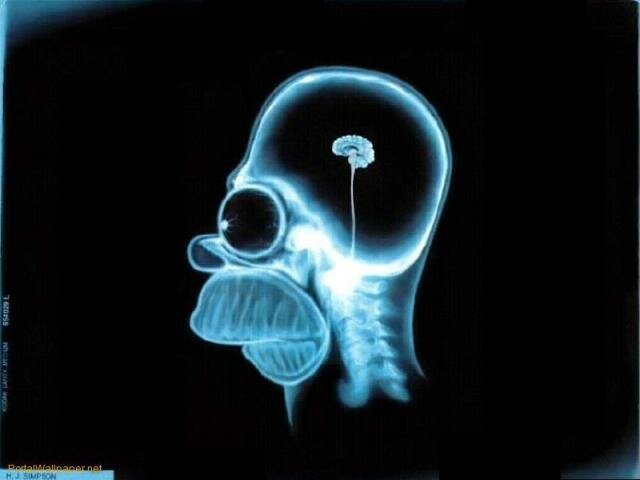 W. C. Roentgen descubre los rayos X.