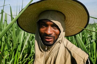 Decreto 1745 de 1995