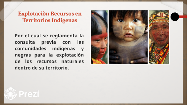 Decreto # 1320 DE 1998