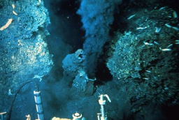 Actividad Hidrotermal