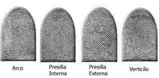 sistema de dactiloscopia