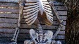 Timeline: Zgodnji srednji vek