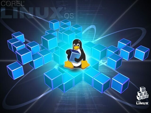 Lenguje proframación linux