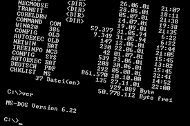 MS DOS