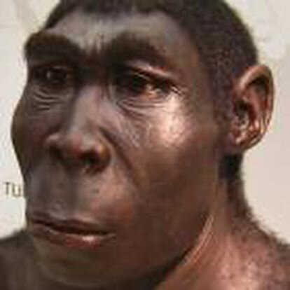 Homo Erectus