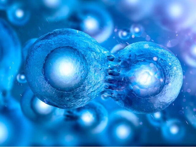 REPROGRAMACIÓN CELULAR