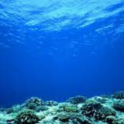 Timeline: La Oceanografía Como Ciencia