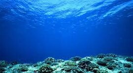 Timeline: La Oceanografía Como Ciencia