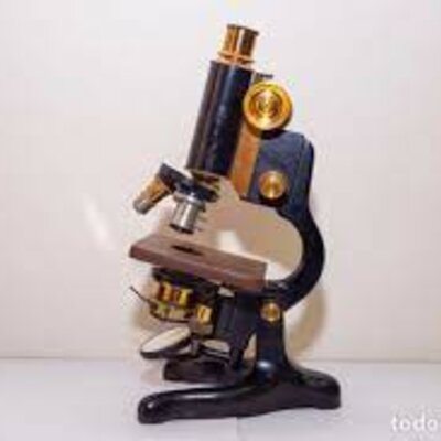 Timeline: Microscopia