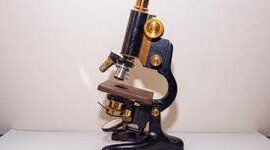 Timeline: Microscopia
